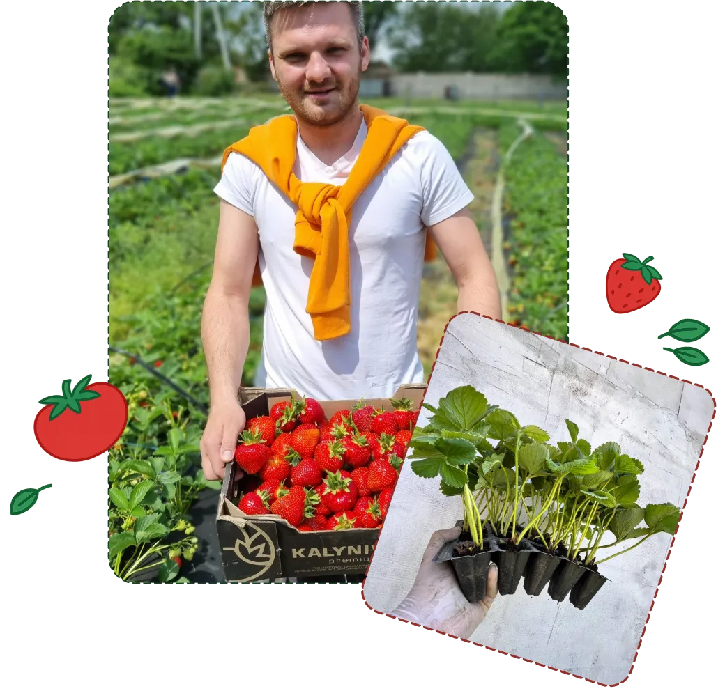 Головна Головна