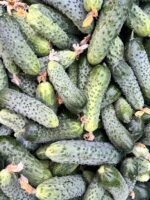 Огірки відбірні