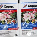 Хорус 3 грама