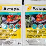Актара 6грам