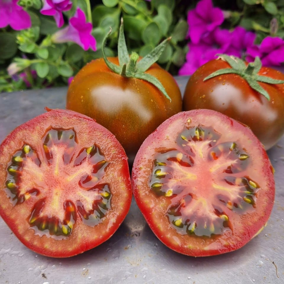 nasinnya-tomatu-indeterminantnogo-braun-star-f1-leda-agriks Браун Стар F1 - Зображення 1
